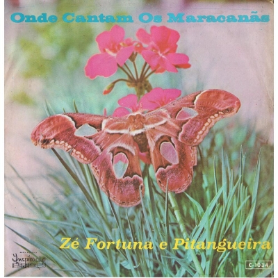 Os Donos Da Bola (CL 9135)