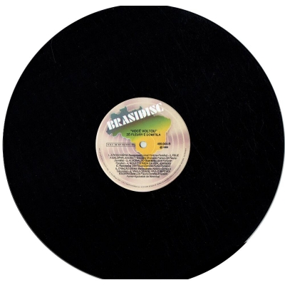 ze_fleury_domitila_voce_voltou