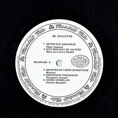 as_gaivotas_1992_viva_cazuza