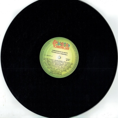 reginaldo_e_rondineli_1981_companheiro_da_noite