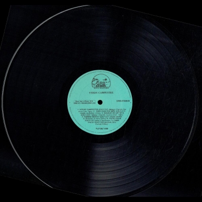telmo_e_telmy_1986_verde_campestre