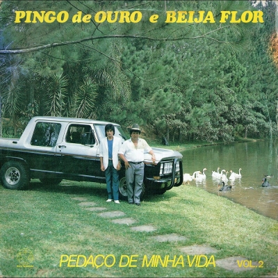 Pedaço De Minha Vida (Volume 2) (LIBRA F12620)