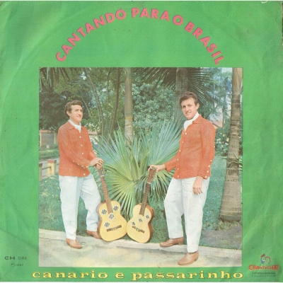 Rumo Ao Sul Com Mário Zan