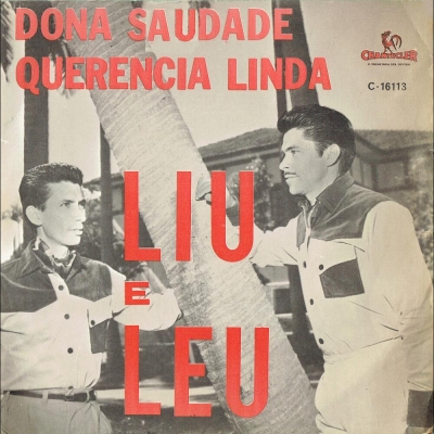 Dona Saudade (CHANTECLER-SERTANEJO 211405127)