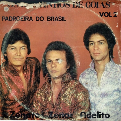 Divino e Paranaense - Volume 1