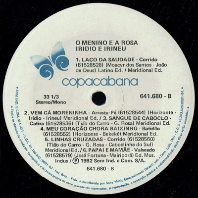 iridio_irineu_1982_o_menino_e_a_rosa