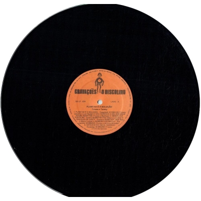 turano_e_turany_1980_plantar_e_a_solucao_a_volta_de_turano_e_turany