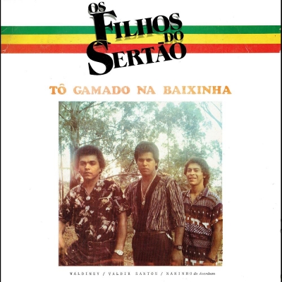 Tô Gamado Na Baixinha (CORAÇÃO SERTANEJO LP 005)