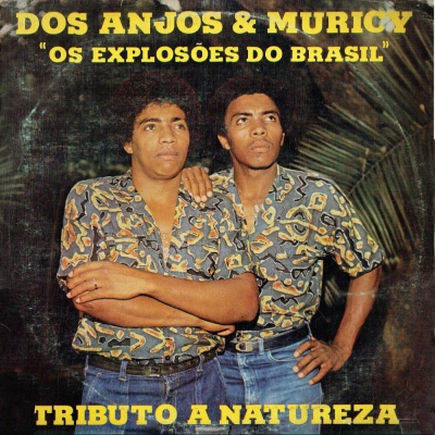 Os Dragões Da Música Sertaneja (CHORORO LPC 10067)