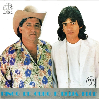 Pingo De Ouro E Beija-Flor (1993) (Volume 3) (LIBRA F13306)