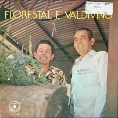 florestal_valdivino_1987_maos_da_saudade