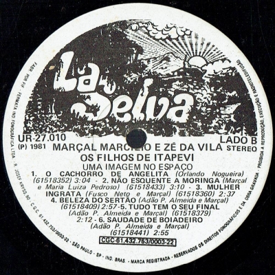 marcal_marcilio_ze_da_vila_uma_imagem_no_espaco