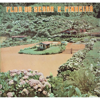 Flor Da Serra E Pinheiral - 1979  (LATINO LP 226411065)