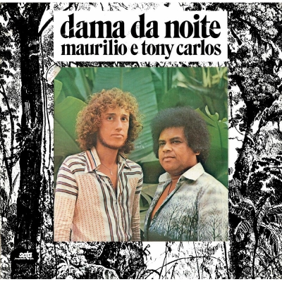 Dama Da Noite (SETA 108405013)